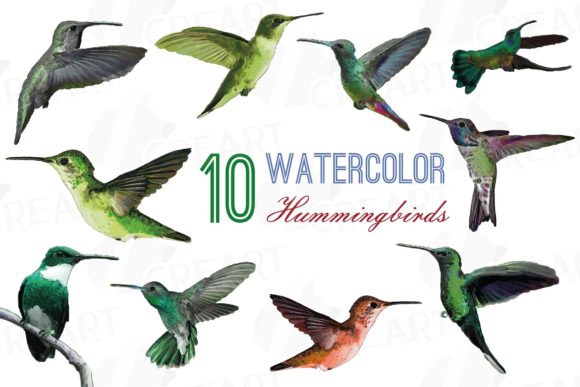 Bringing Tropical Elegance to Life with the Hummingbirds Watercolor Clip Art Pack