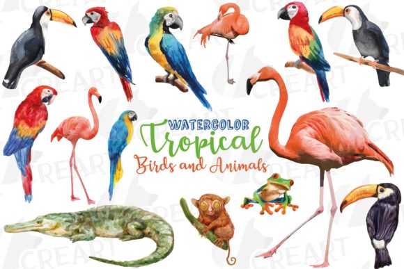 Unleashing Creativity with Watercolor Tropical Birds Animals Art for Modern Design Projects